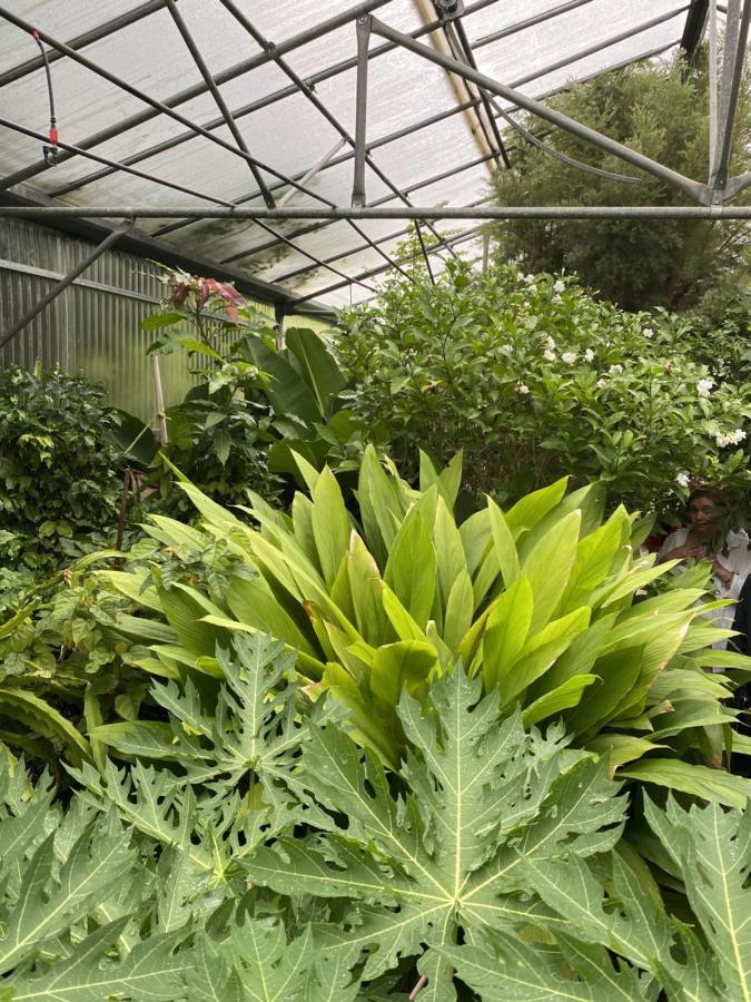 Green Hotel - Maravel Botanical Garden Spílion المظهر الخارجي الصورة